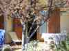 Le jardin des Gites