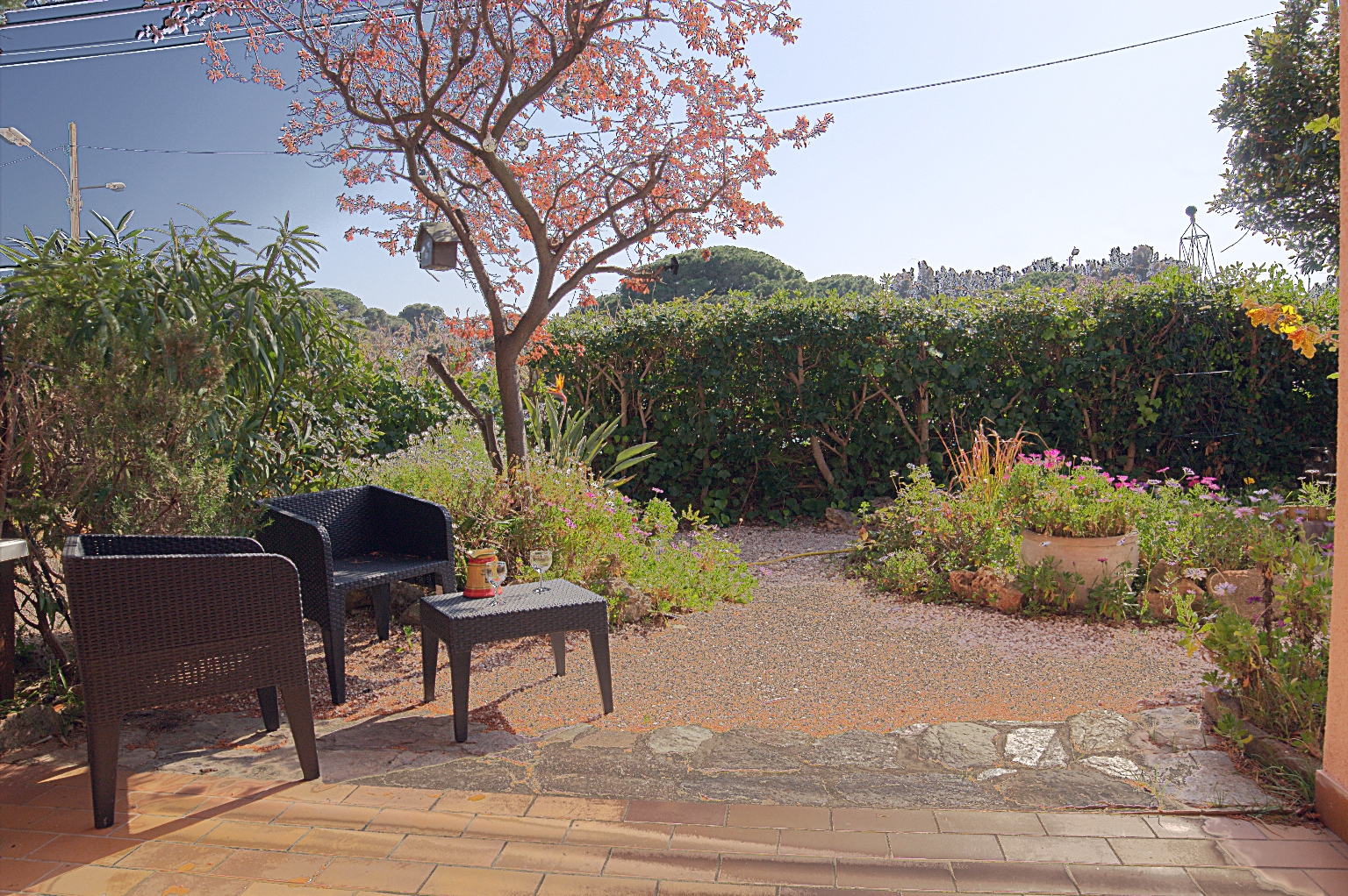 Le jardin de nos locations de vacances  pres de Hyeres